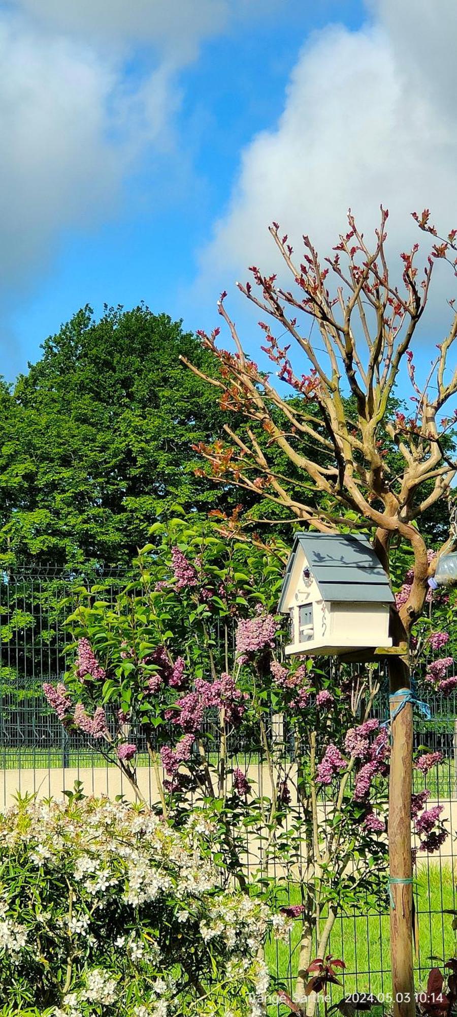 Ferienwohnung Laloue Trangé Exterior foto